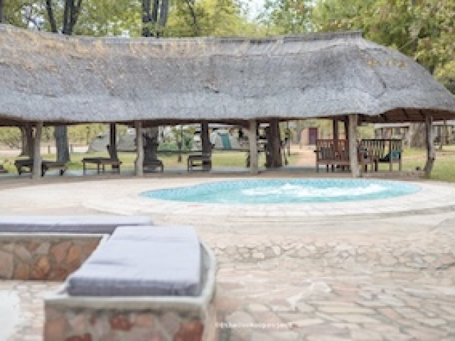 Wildlife Camp Pool, South Luangwa