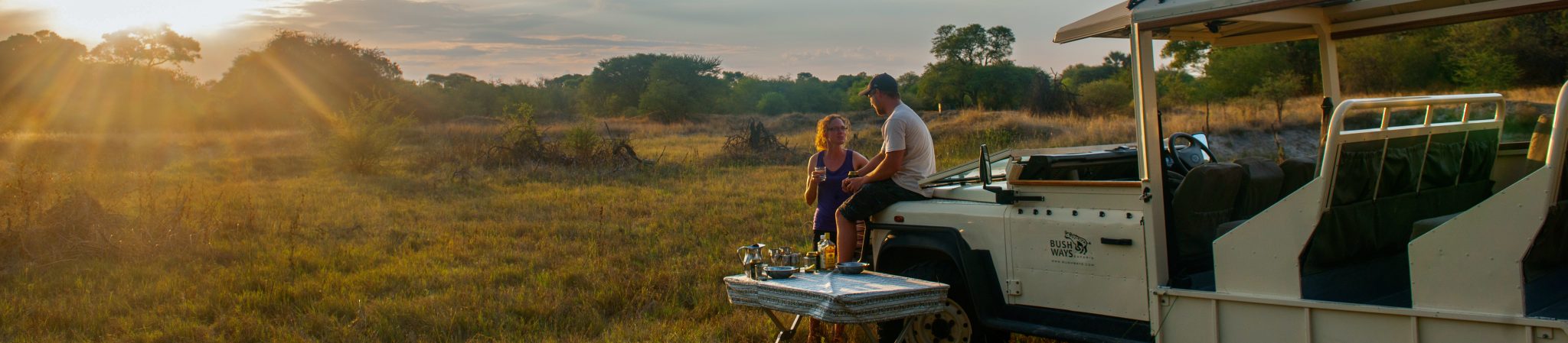 Guided safari Botswana