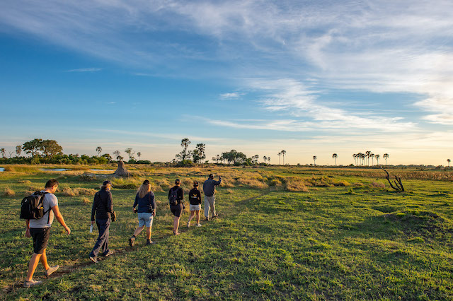 Sunway Botswana Okavango Walking Safari