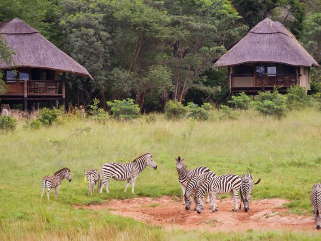 Ivory Lodge, Hwange National Park