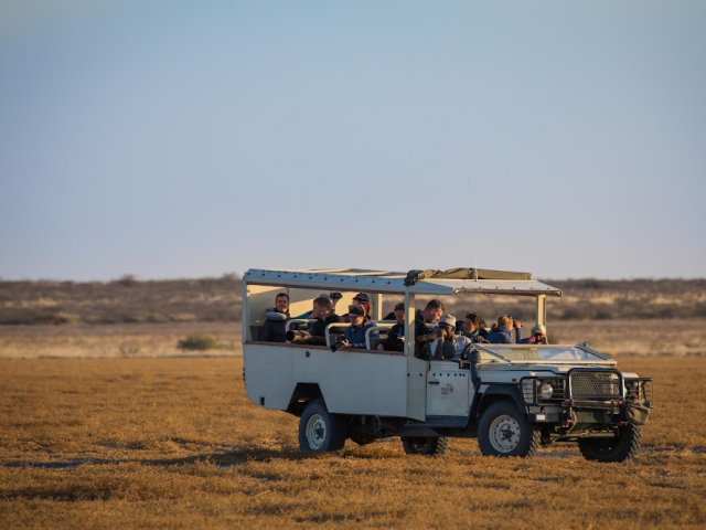 Kalahari Safari