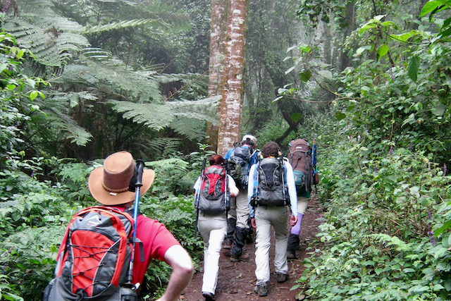 Climb Kilimanjaro