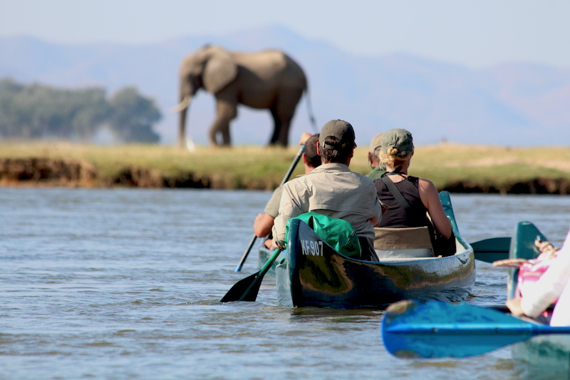 Mana Pools Canoeing with elephants, Zimbabwe