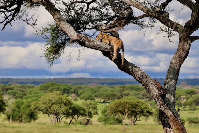 Best of Tanzania package