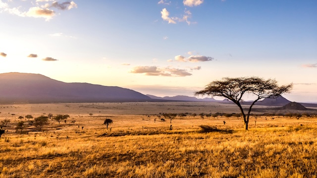 Tsavo East National Park, Kenya