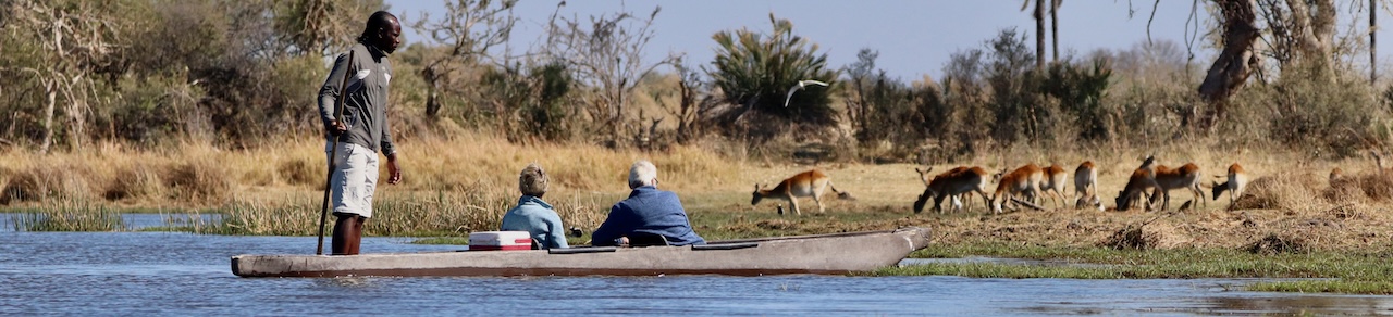 Eastern Okavango Delta, Mokoro and lechwe, Banner