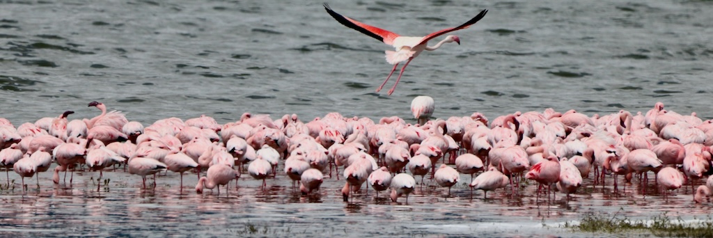 Sossosvlei sunrise, Namibia tours and travel