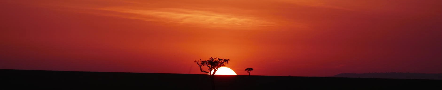 Wildebeest herds on the Serengeti Plains, Tanzania